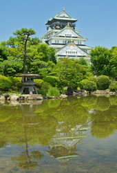  A743516